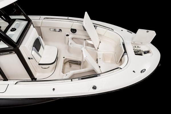 Slide: The Image of FROM THE ROBALO BROCHURE - 24