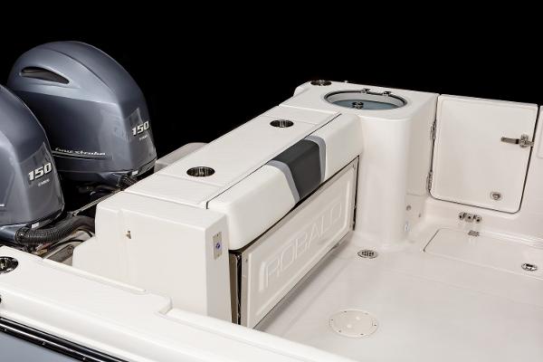 Slide: The Image of FROM THE ROBALO BROCHURE - 30
