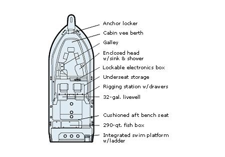 Slide 31